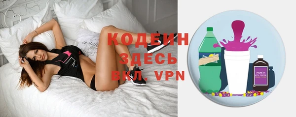 хмурый Абаза