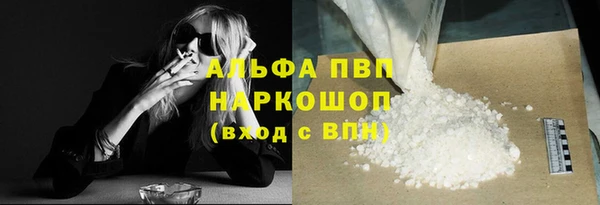 хмурый Абаза