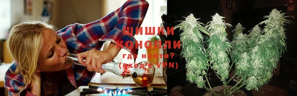 хмурый Абаза